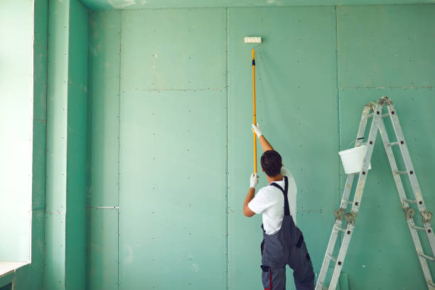 Best Black Mold Removal  in Paterson, NJ