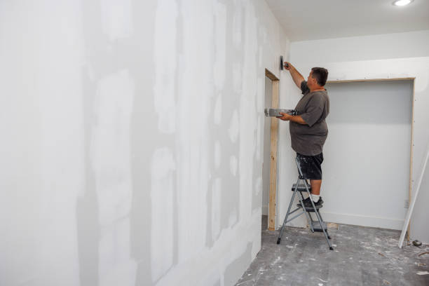 Trusted Paterson, NJ Mold Removal Experts