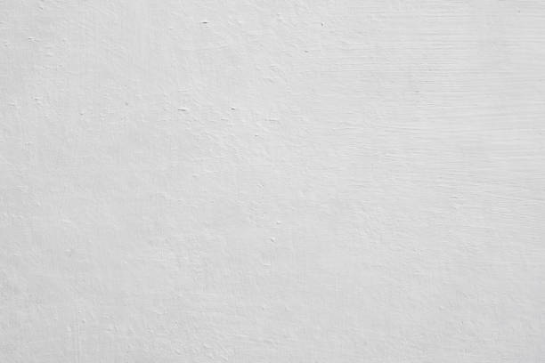 Best Basement Mold Removal  in Paterson, NJ