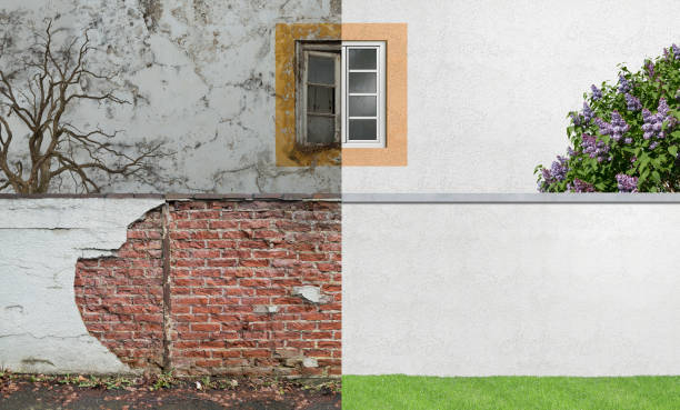  Paterson, NJ Mold Removal Pros